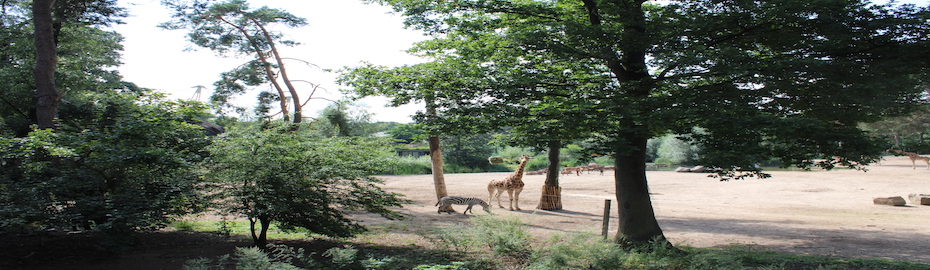 Burgers' Zoo