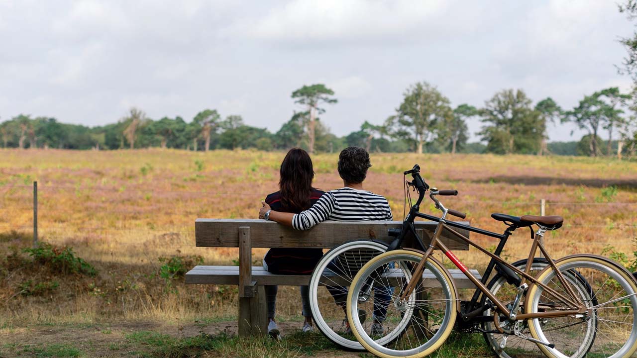 De leukste uitjes in provincie Drenthe
