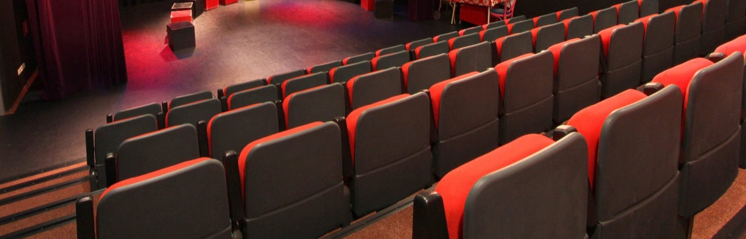 De leukste theaters in Sneek: cultuur in het hart van Friesland