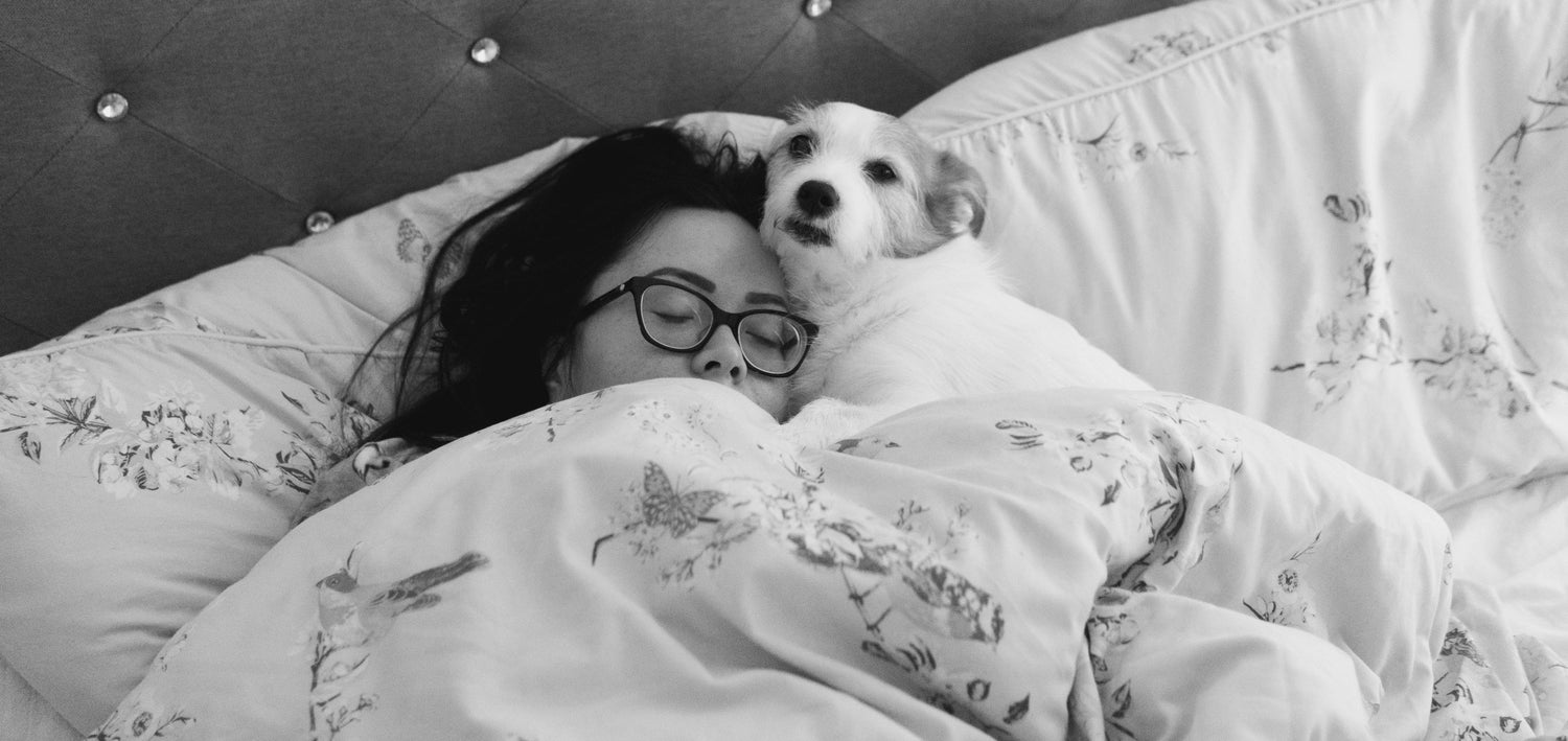 Ga een weekendje weg met je hond - 5 tips