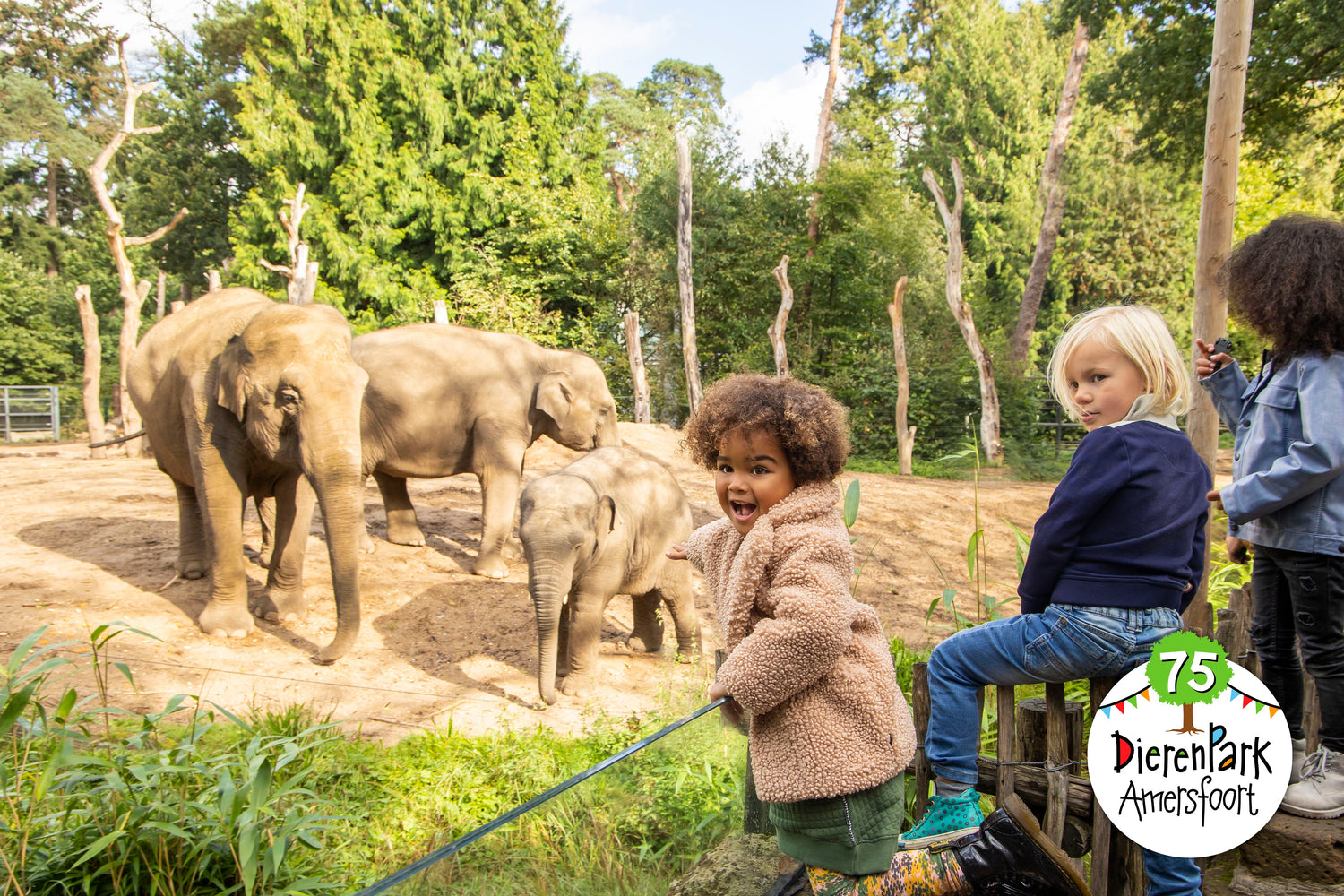 Feestweekend: DierenPark Amersfoort viert 75-jarig bestaan!