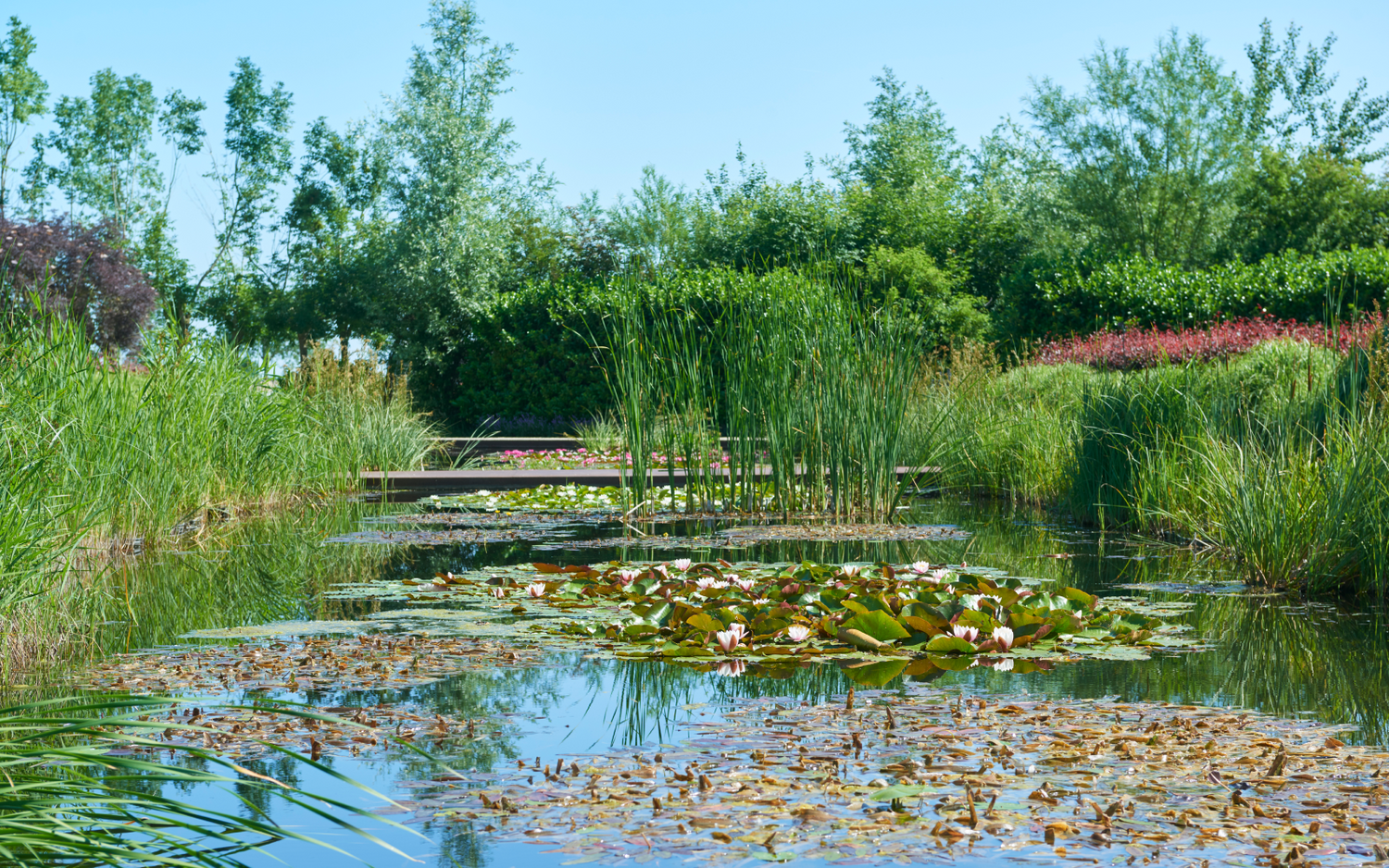 5 x de leukste dagjes uit met flora en fauna