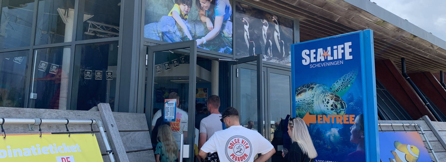Wij doken in de wondere onderwaterwereld van SEA LIFE Scheveningen