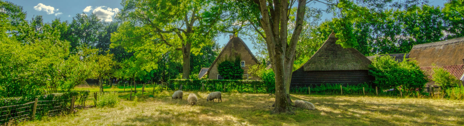 Beleef Drenthe vanuit een vakantiehuisje: 5 unieke accommodaties
