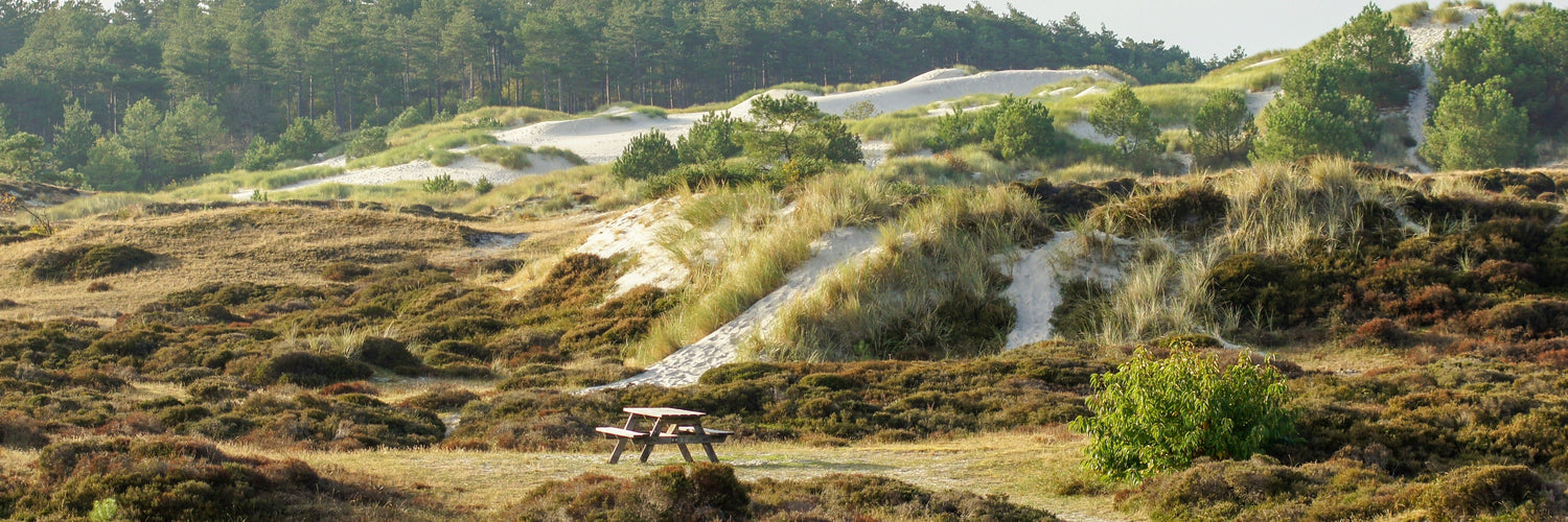 Op zoek naar een vakantiehuisje in Schoorl? Ontdek jouw perfecte vakantieplek