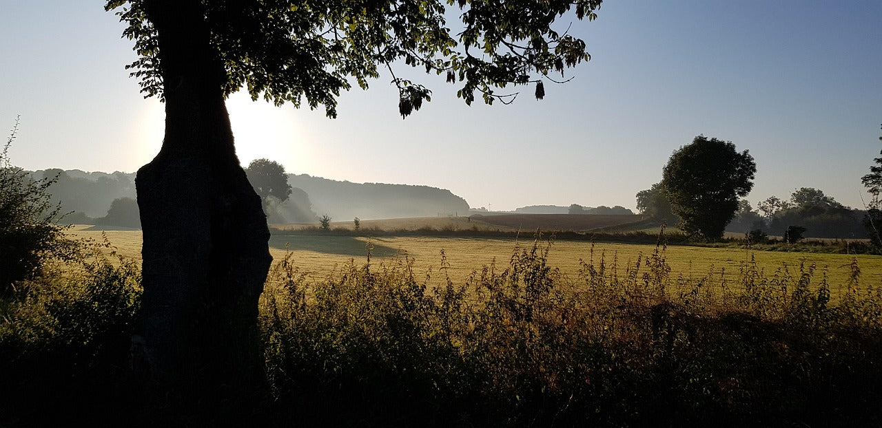 Vakantiehuisje in Zuid-Limburg: ideaal als uitvalsbasis om de regio te verkennen