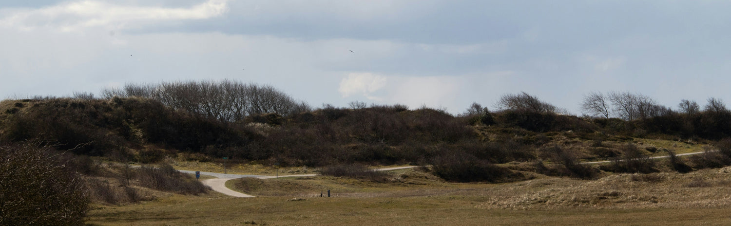Vakantiehuisje op Schiermonnikoog: 5 aanraders