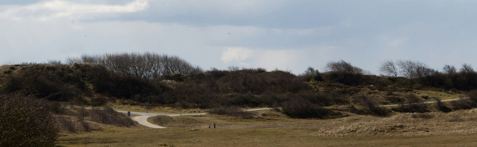 Vakantiehuisje op Schiermonnikoog: 5 aanraders