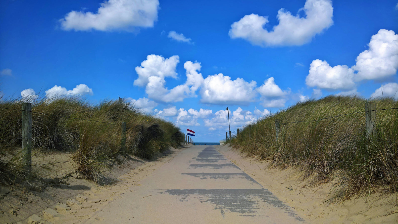 Vakantiehuisjes aan zee in Nederland: ga op vakantie aan de kust
