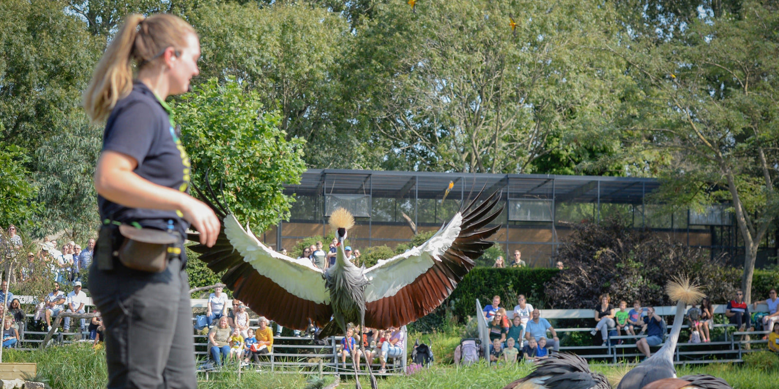 Zo maakt Avifauna natuurbescherming leuk én leerzaam voor het hele gezin