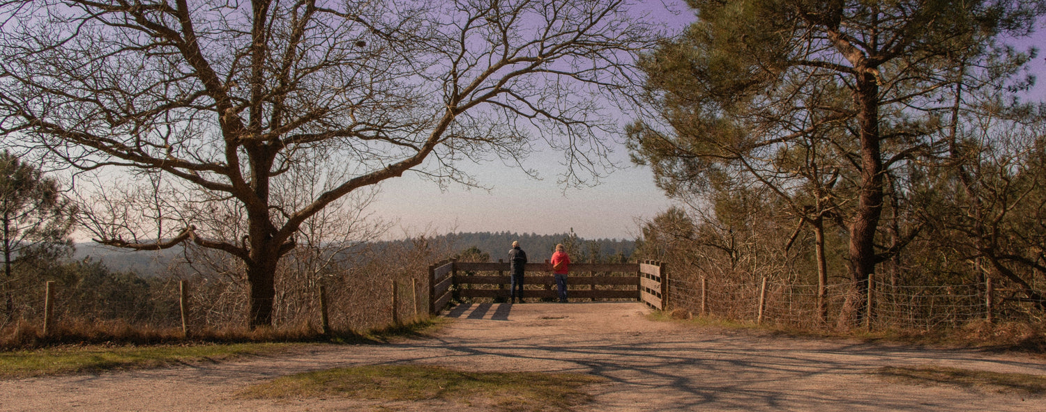 Vakantieparken in Schoorl: tips voor vakanties in dit gezellige duindorp