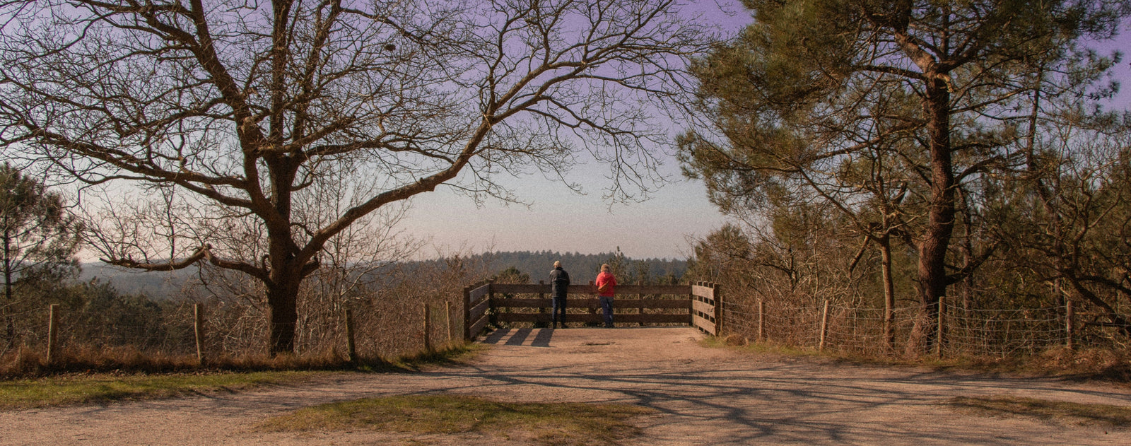 Vakantieparken in Schoorl: tips voor vakanties in dit gezellige duindorp