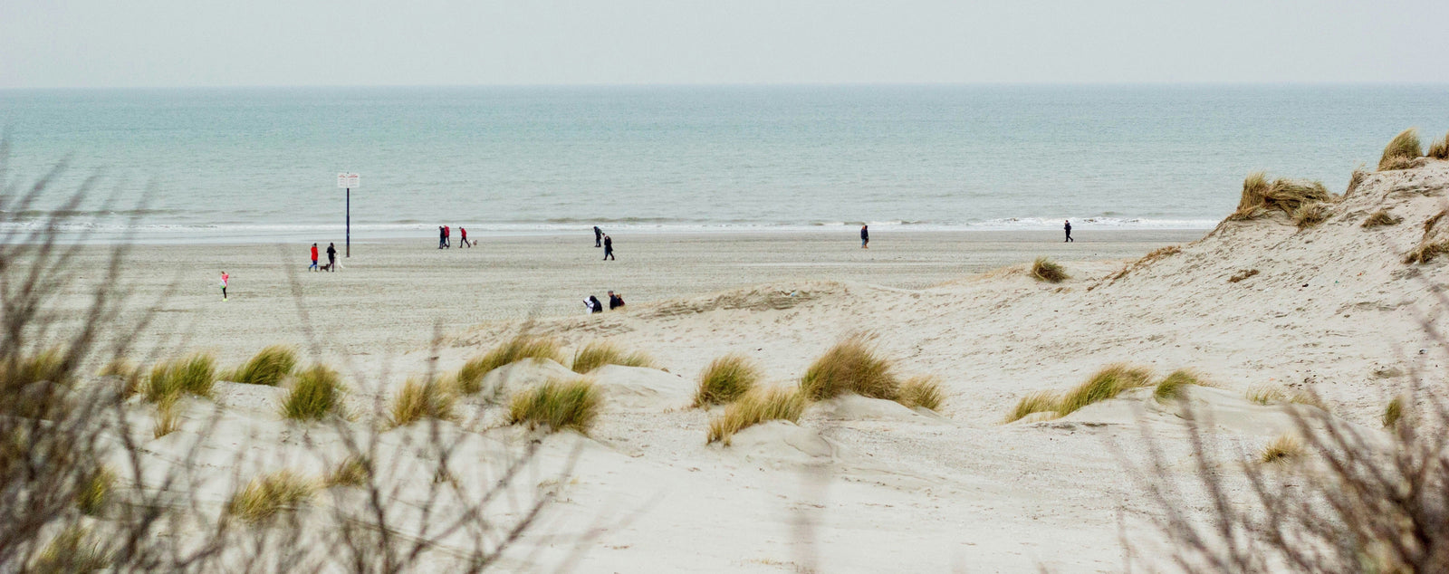 Tips voor vakantieparken in Zuid-Holland: verblijf in deze provincie