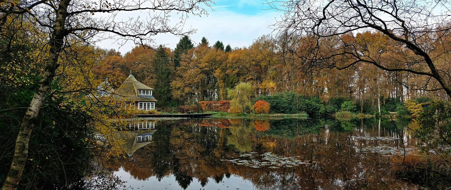 Vakantieparken in Drenthe: tips voor de beste opties