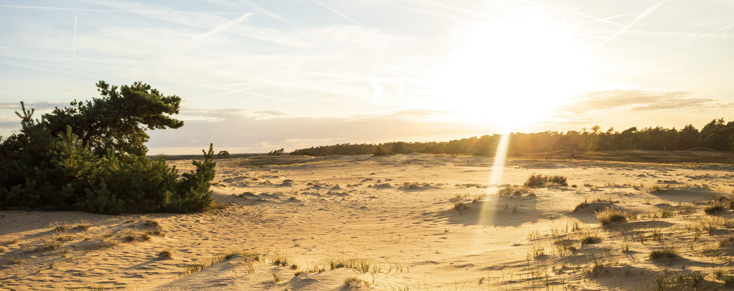De beste vakantieparken in Gelderland voor je op een rij: 4 tips