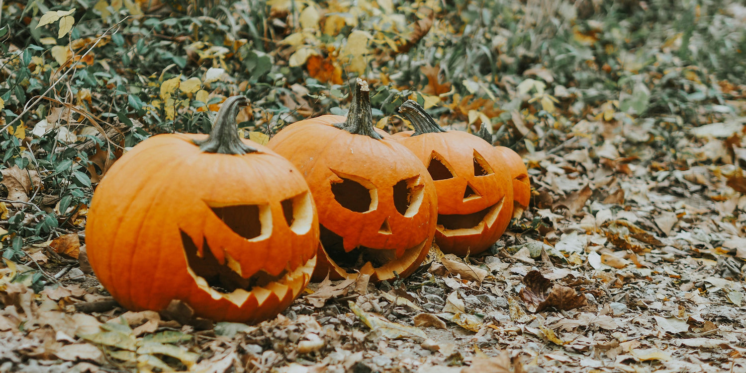 Halloween 2025 in Nederland: de griezeligste en gezelligste uitjes