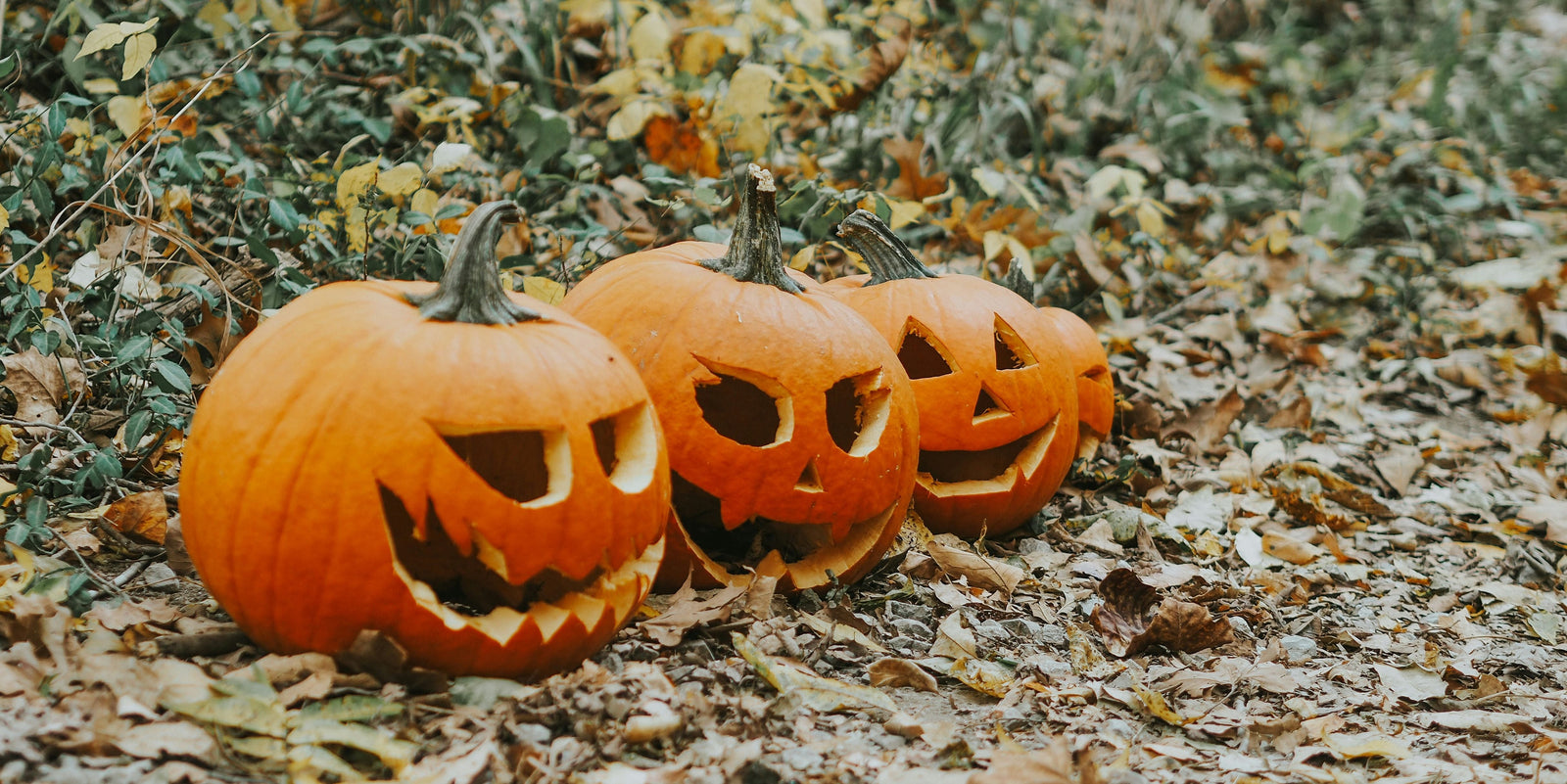 Halloween 2025 in Nederland: de griezeligste en gezelligste uitjes
