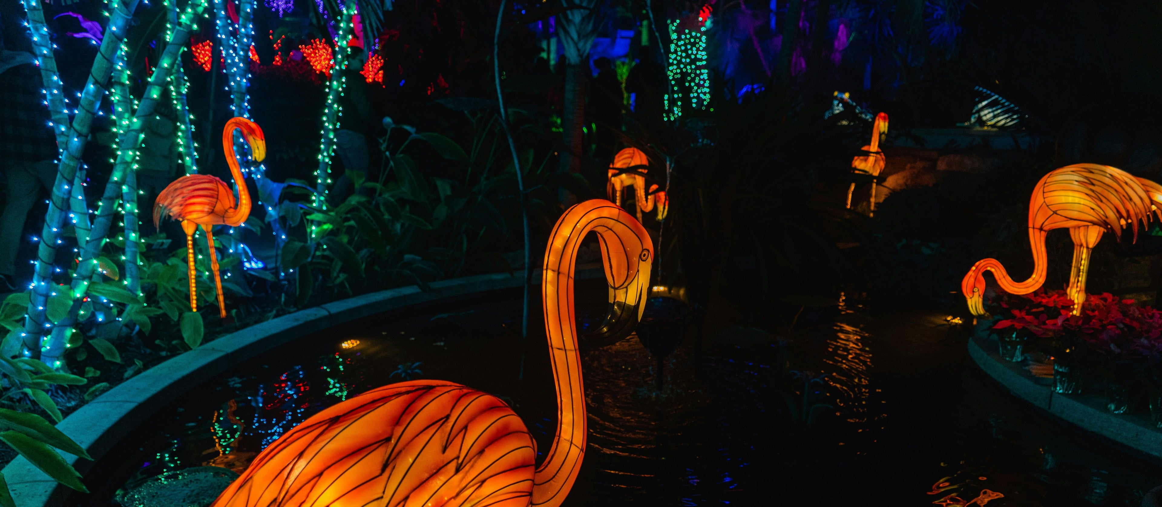 Lichtfestivals Belgie