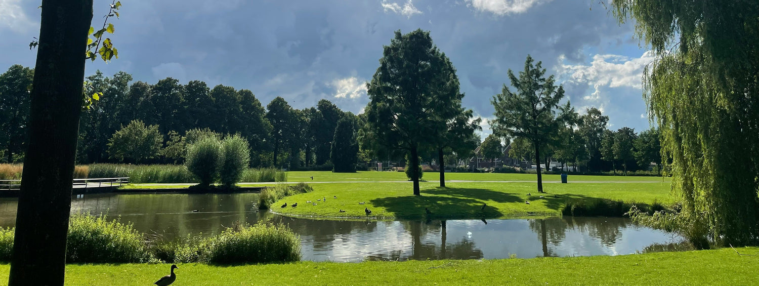 De leukste tips voor uitjes in Enschede
