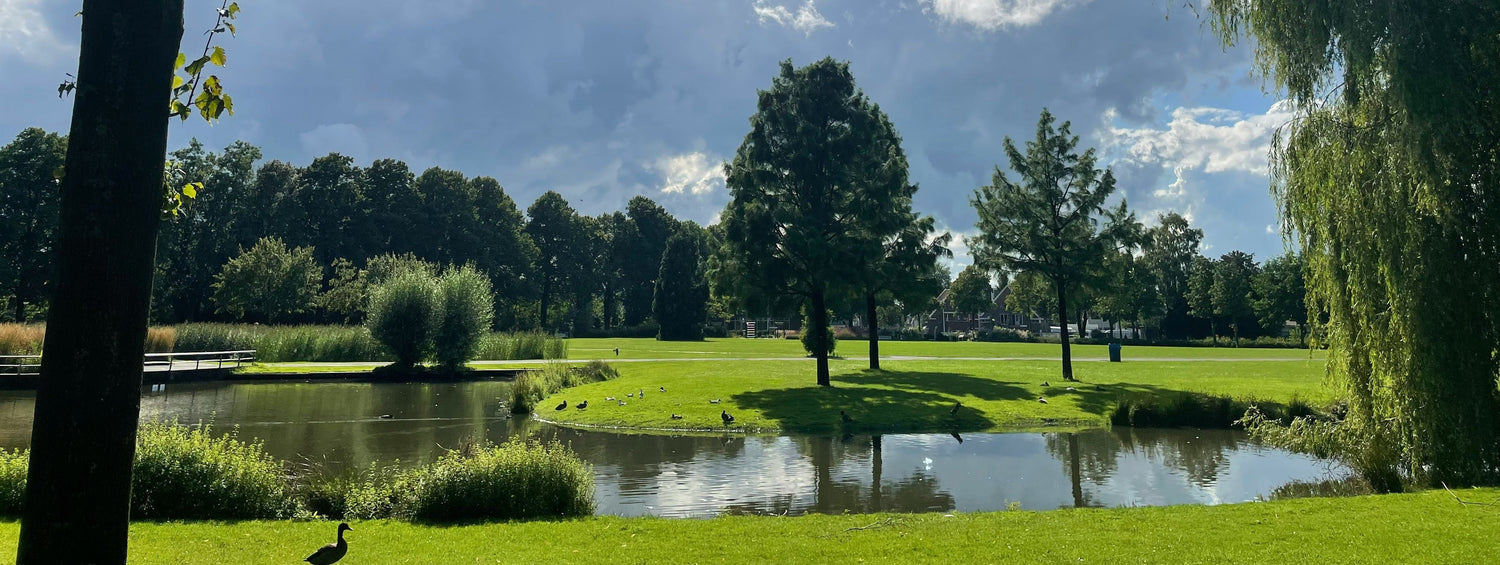 De leukste tips voor uitjes in Enschede