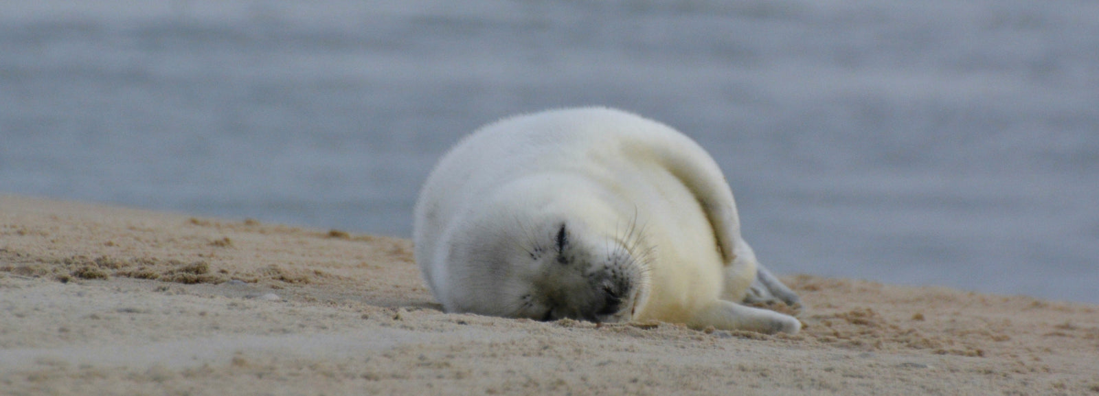 5 tips om heerlijk te overnachten op Vlieland