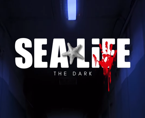 The Dark: Een nieuwe griezelige tocht in SEA LIFE Scheveningen