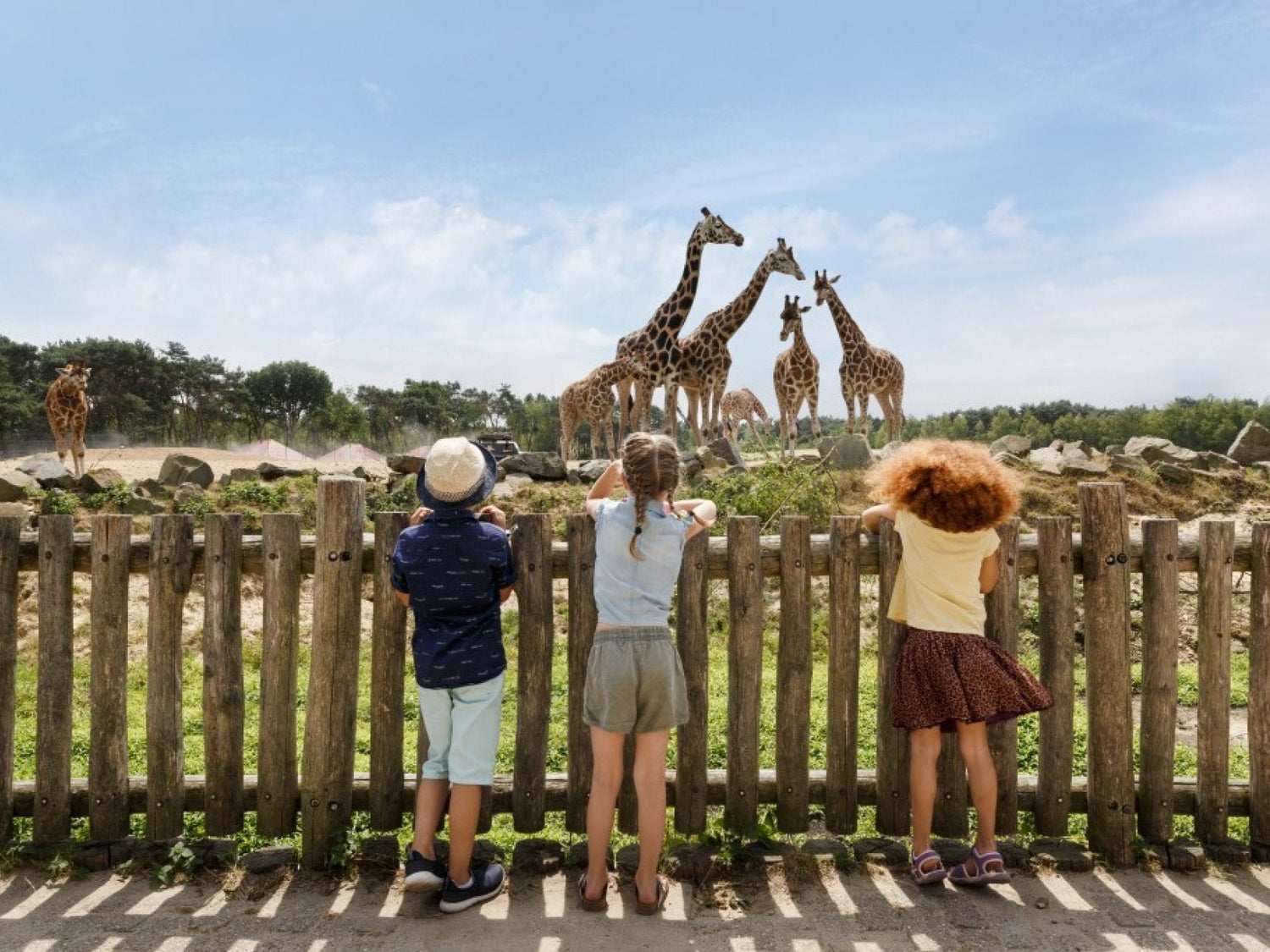 Beekse Bergen: geschiedenis, dieren en verrassende feiten