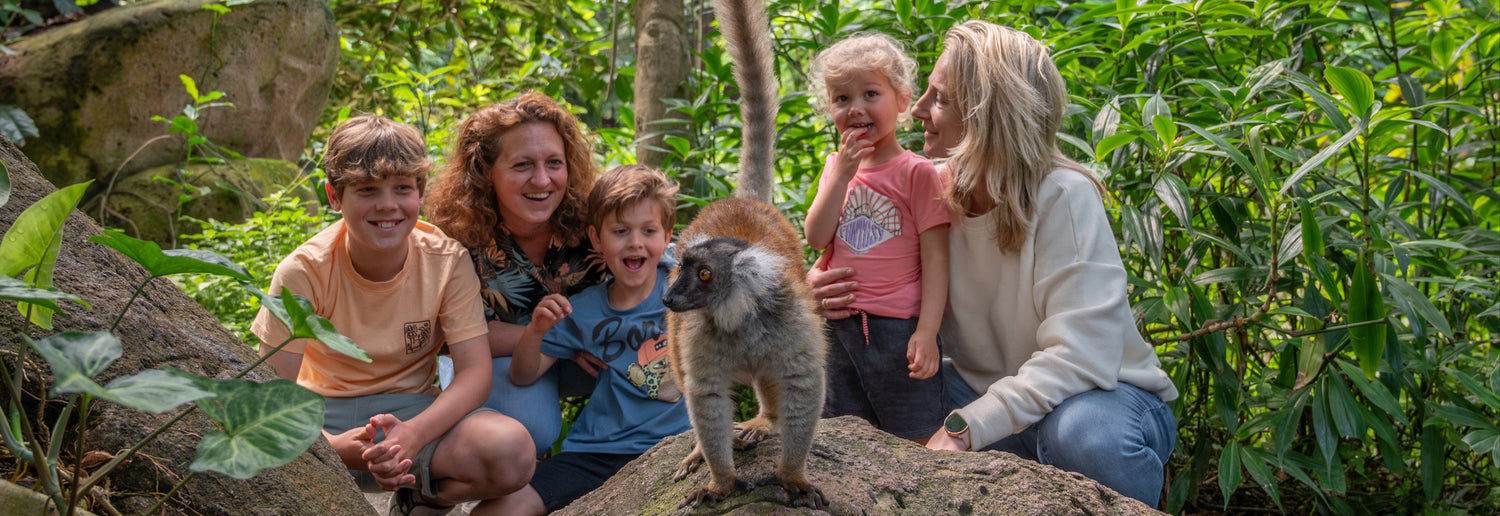 In WILDLANDS Adventure Zoo raak je niet uitgekeken