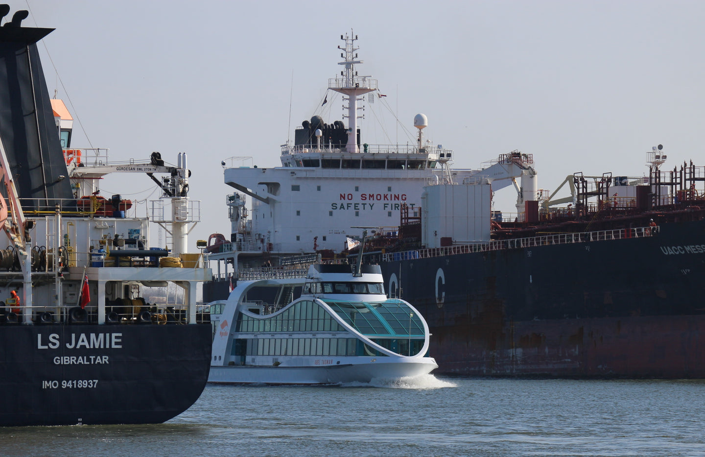 Spido havenrondvaart Rotterdam - afbeelding 2