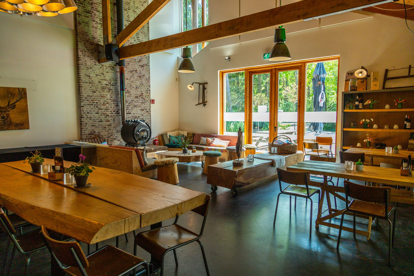 EuroParcs De Wije Werelt (Veluwe) - afbeelding 5