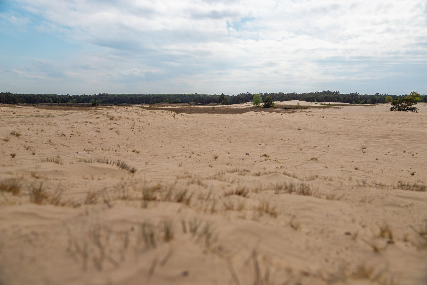 EuroParcs De Wije Werelt (Veluwe) - afbeelding 10
