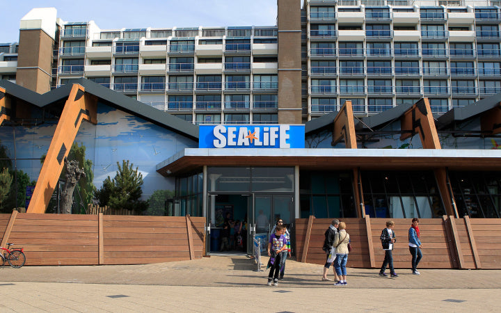 Sea Life - afbeelding 2