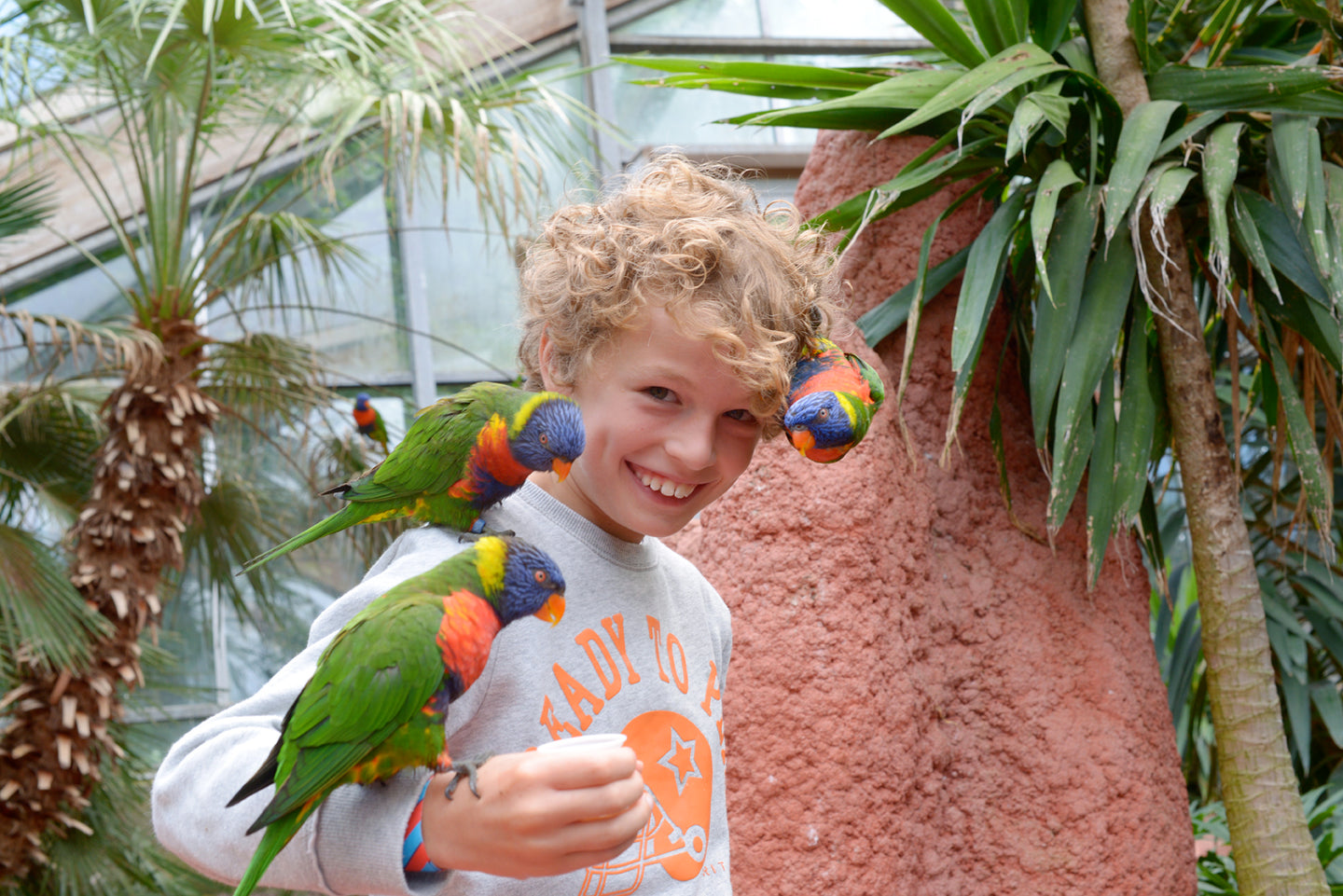 Vogelpark Avifauna - afbeelding 4