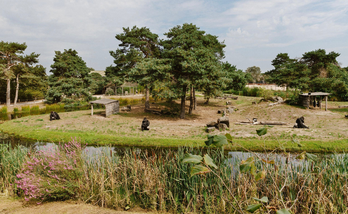 Safaripark Beekse Bergen - afbeelding 3