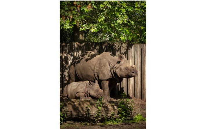 ZOO Planckendael