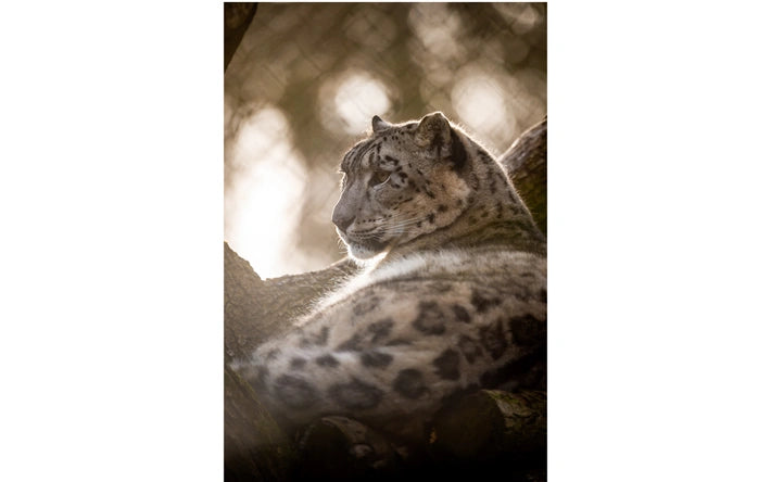 ZOO Planckendael