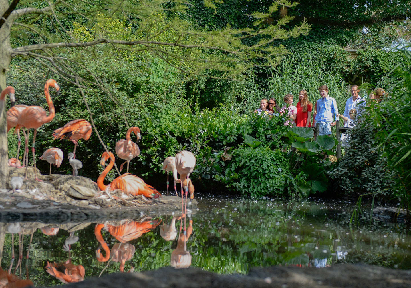 Vogelpark Avifauna - afbeelding 2
