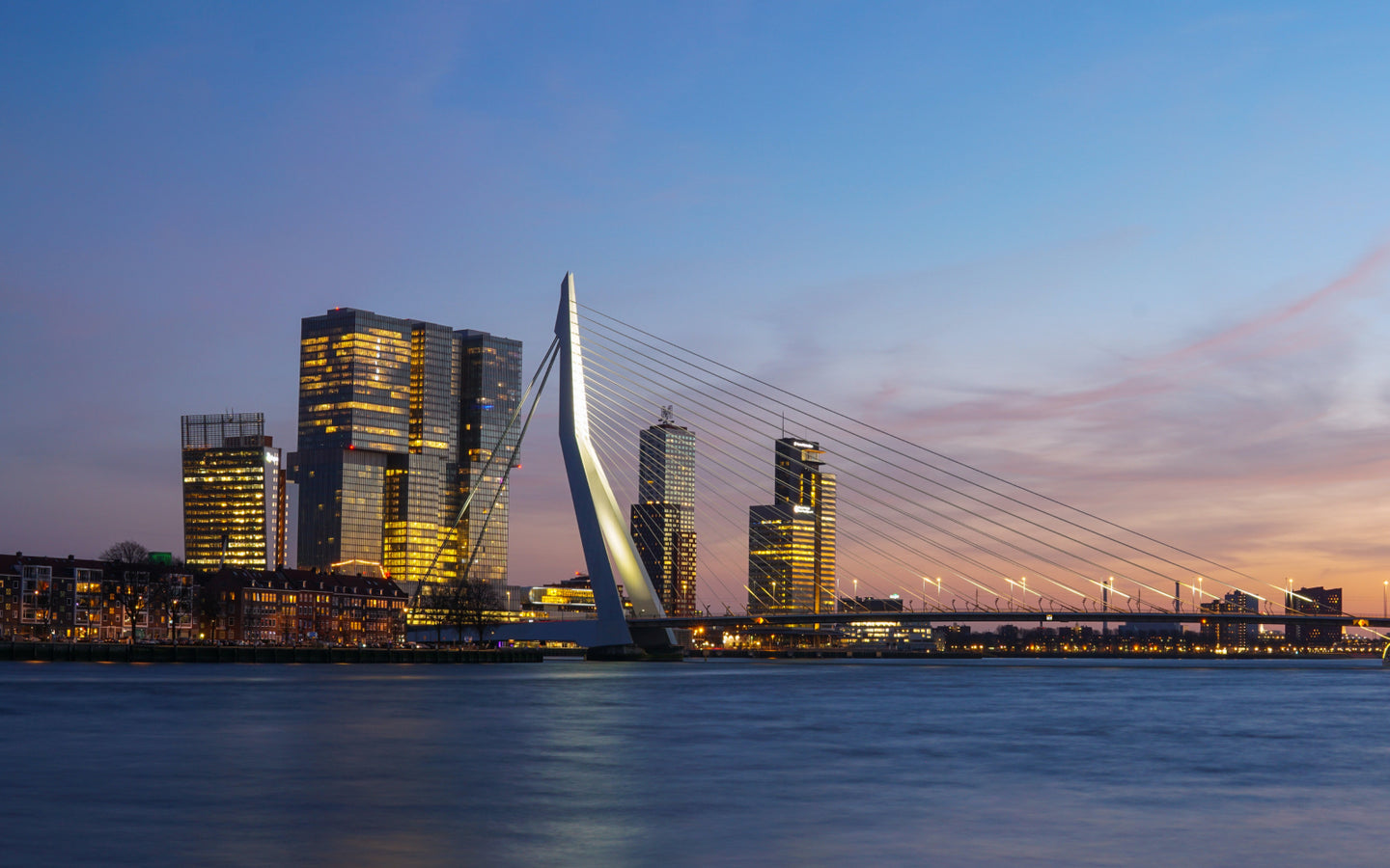 2 dagen in 4* DoubleTree Rotterdam  - afbeelding 3
