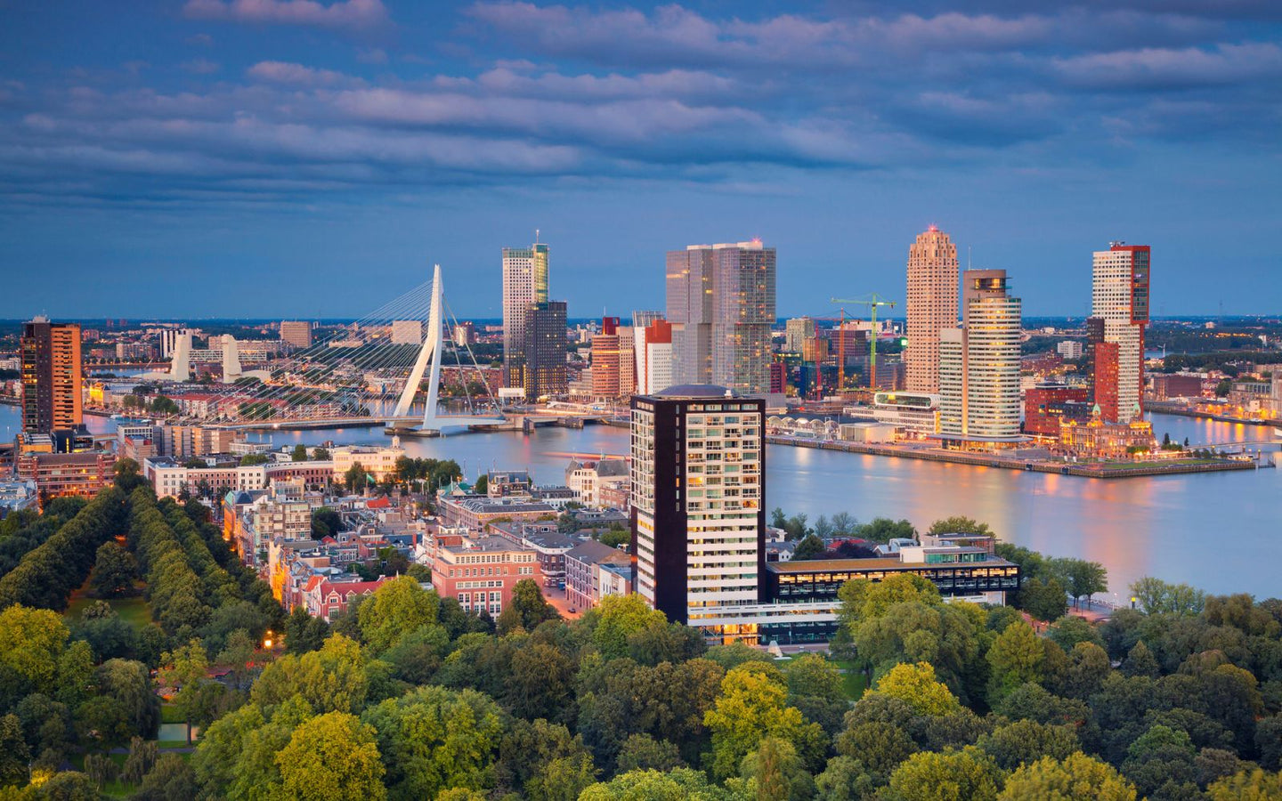 2 dagen in 4* DoubleTree Rotterdam  - afbeelding 1