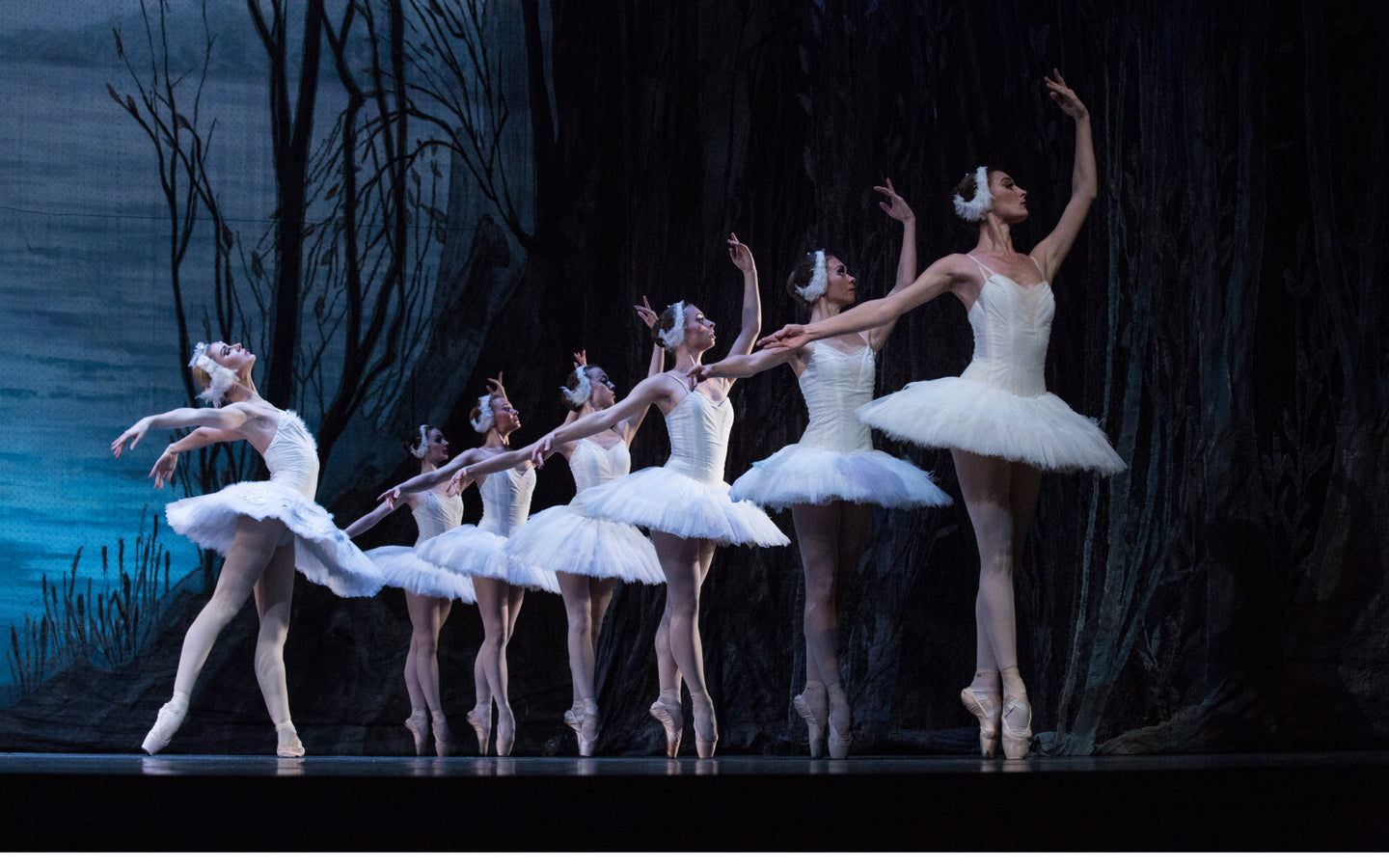 Het Zwanenmeer door Charkiv City Ballet - afbeelding 3
