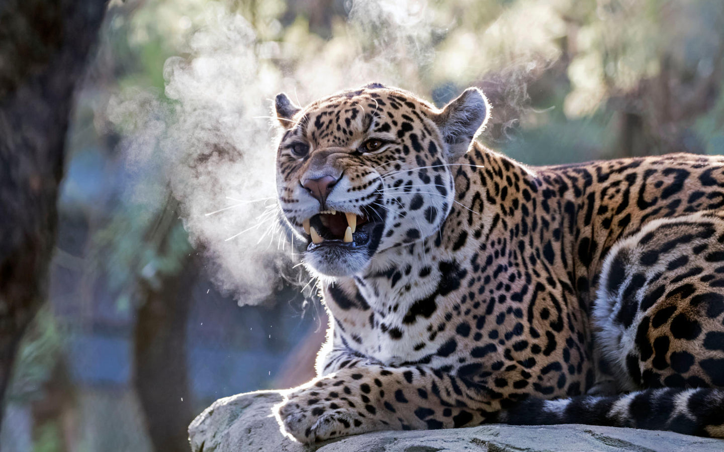 ARTIS-Park tickets met korting - afbeelding 8