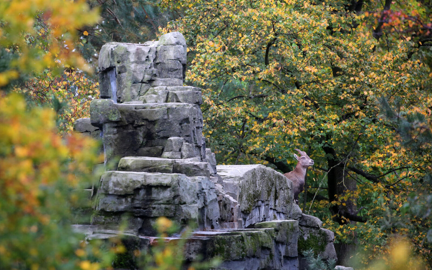 ARTIS-Park tickets met korting - afbeelding 17