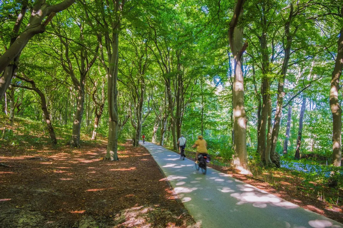 Landgoed Huize Glory | Ontdek het beste van Bergen aan Zee - afbeelding 5