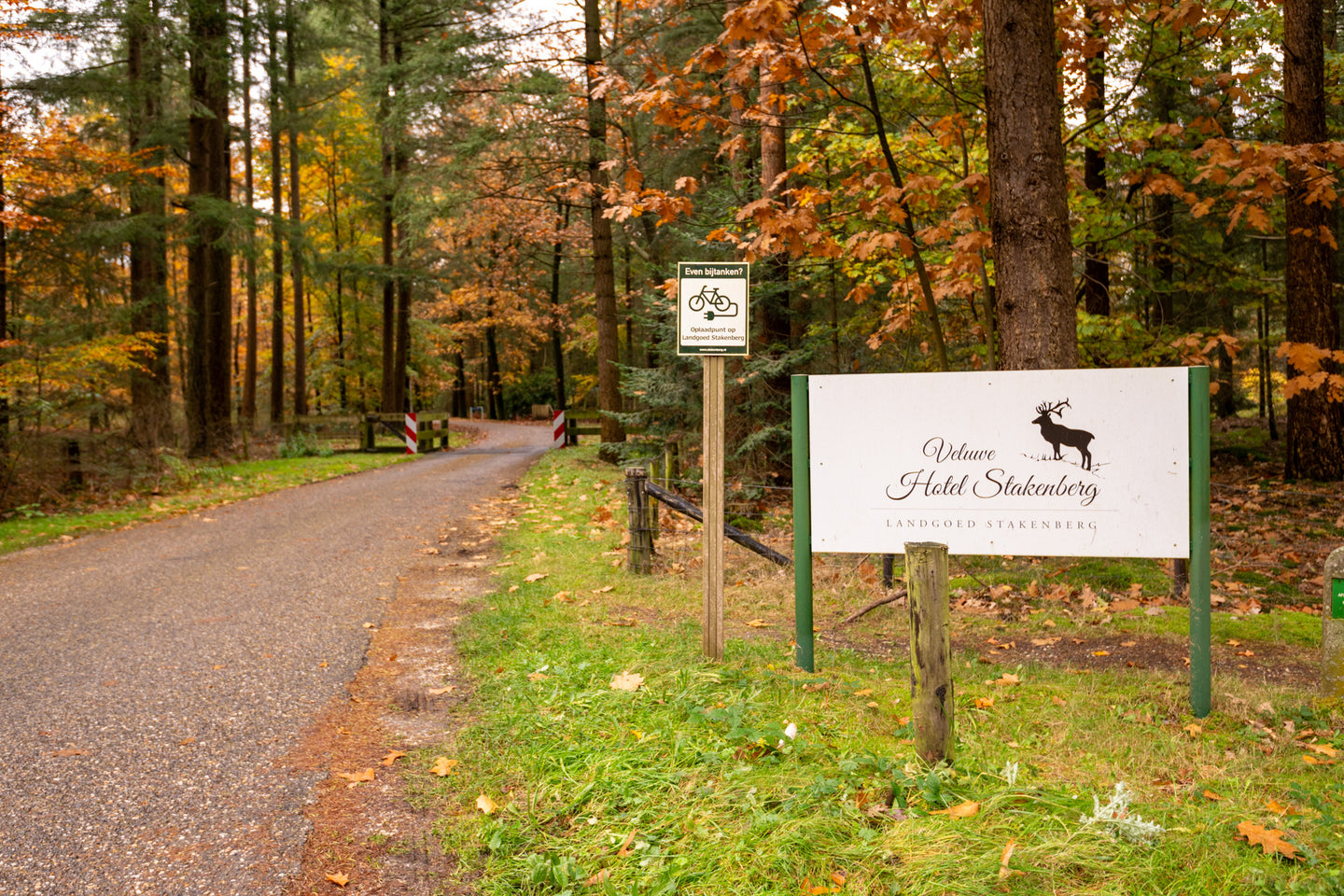 Veluwe Hotel Stakenberg | 3-daags verblijf op de Veluwe met directe toegang tot het bos | incl. 3-gangendiner - afbeelding 11