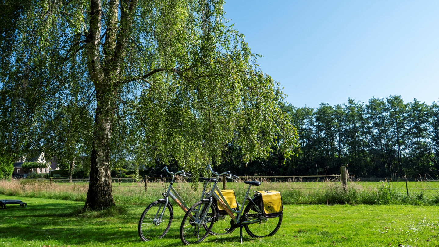 Hotel de Landmarke | 3 Dagen heerlijk tot rust komen in het groene Twente | incl. dagelijks 3-gangendiner - afbeelding 9