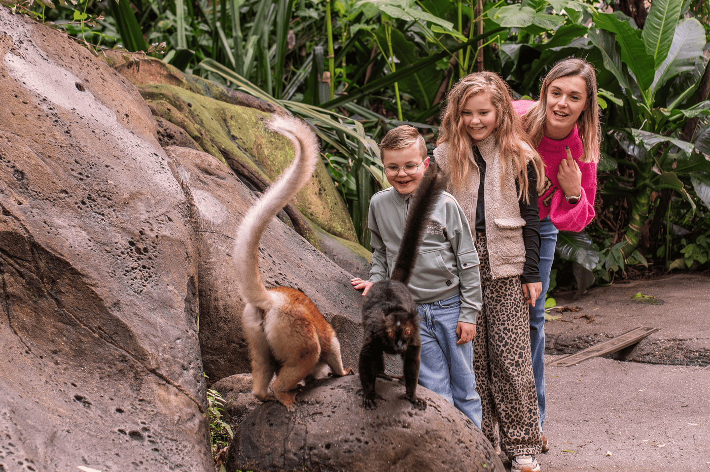 Wildlands Adventure Zoo Emmen - afbeelding 7