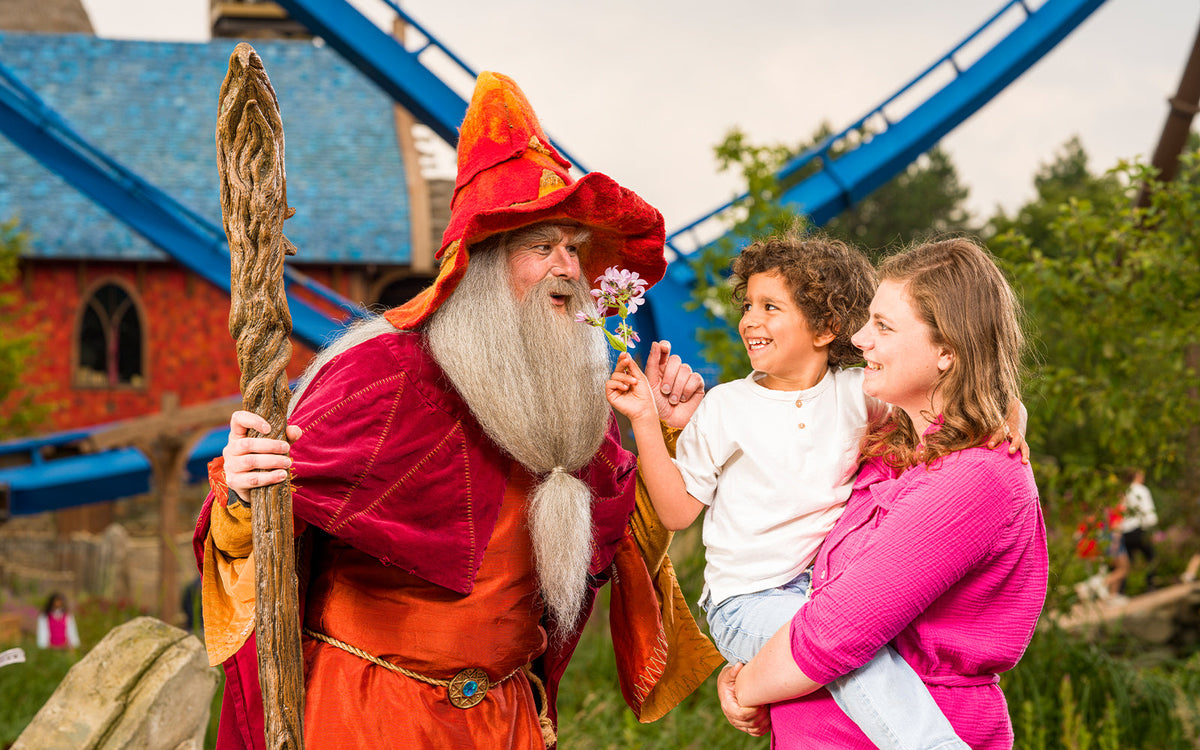 aanbod-4 - afbeelding 4