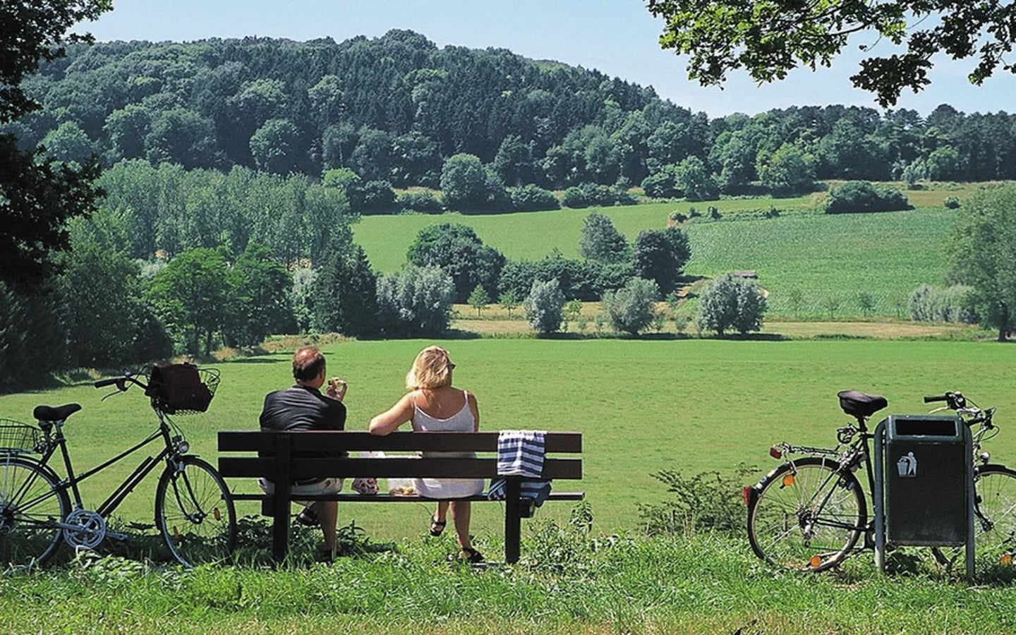 3 dagen fietsvakantie in Nederlands Limburg bij Romantik Parkhotel Het Gulpdal **** - afbeelding 1
