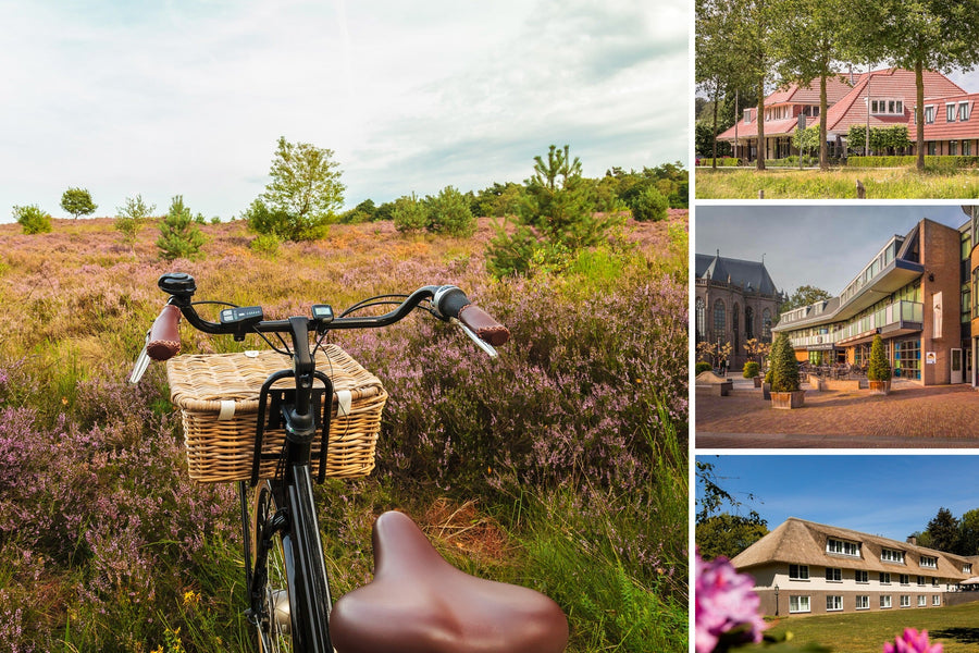 Fietsvakantie 2026 | 7-Daagse fietsvakantie Twente & Salland: Delden - Raalte - Markelo | incl. dagelijks 3-gangendiner - afbeelding 1