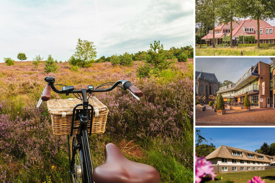 Fietsvakantie 2026 | 7-Daagse fietsvakantie Twente & Salland: Delden - Raalte - Markelo | incl. dagelijks 3-gangendiner - afbeelding 1